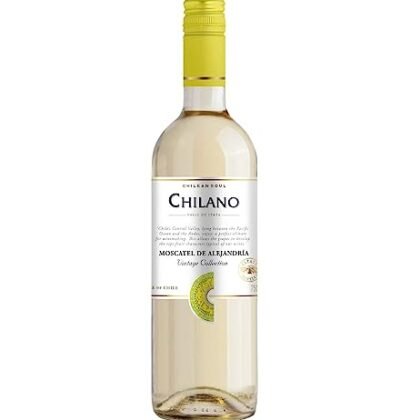 Aqui estão algumas opções de texto ALT para a imagem, considerando diferentes níveis de detalhe e contexto: **Opções mais concisas:** * `Sauvignon Blanc Chilano` * `Vinho Branco Chilano Sauvignon Blanc` **Opções mais descritivas:** * `Garrafa de Sauvignon Blanc Chilano` * `Rótulo do vinho Sauvignon Blanc Chilano` * `Chilano Sauvignon Blanc, vinho branco chileno` **Opções com foco na marca:** * `Vinho Chilano Sauvignon Blanc` * `Chilano, Sauvignon Blanc Chileno` A melhor opção dependerá do contexto da imagem e do que você deseja destacar. Se a página já menciona o nome completo do vinho, uma opção mais curta como "Sauvignon Blanc Chilano" pode ser suficiente. Se a imagem é a principal forma de apresentar o produto, uma opção mais descritiva pode ser melhor.
