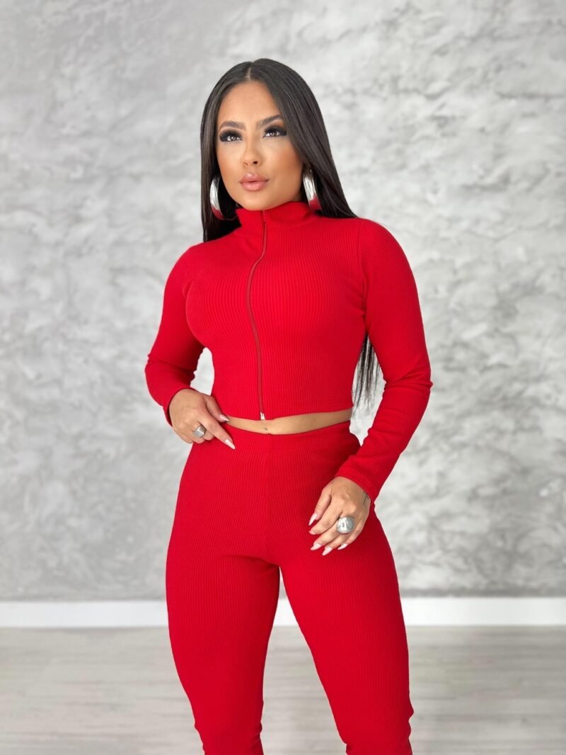 CONJUNTO ZURY EM ANARRUGA COM ZÍPER (CROPPED + CALÇA) – Imagem 8 [nsid:940173358]